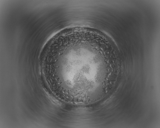 X0000051860925200506241317