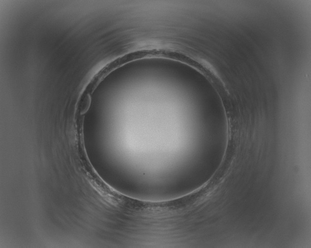 X0000051860927200506241317