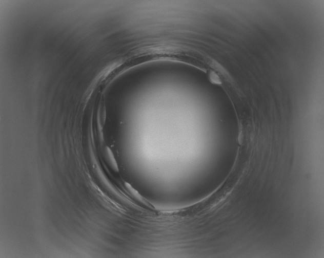 X0000051860930200506241317