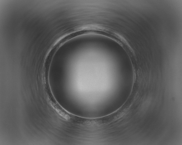 X0000051860931200506241317