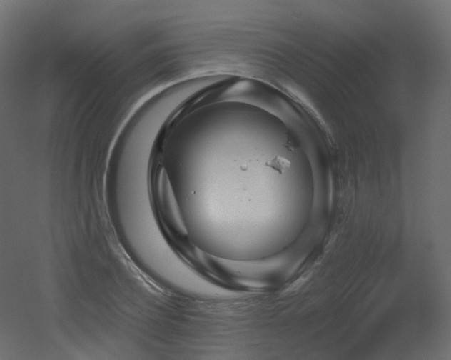 X0000051860932200506241317