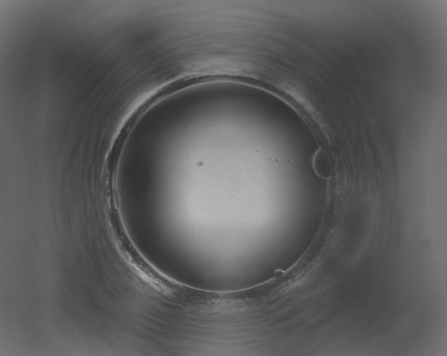 X0000051860933200506241317