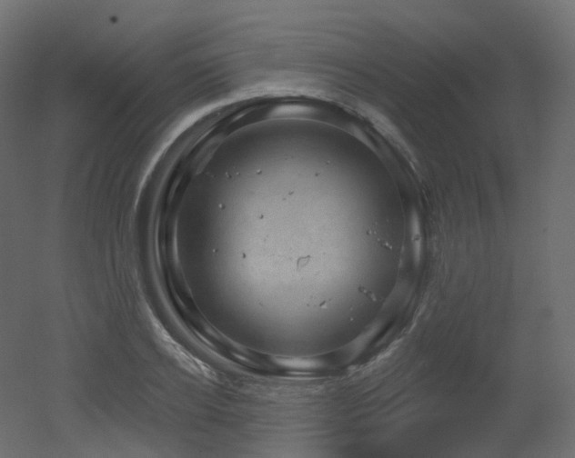 X0000051860934200506241317