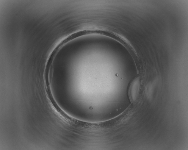 X0000051860935200506241317