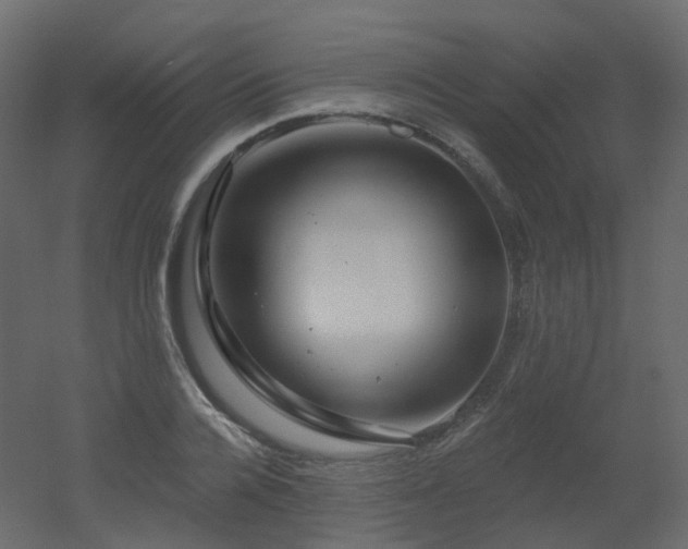 X0000051860936200506241317