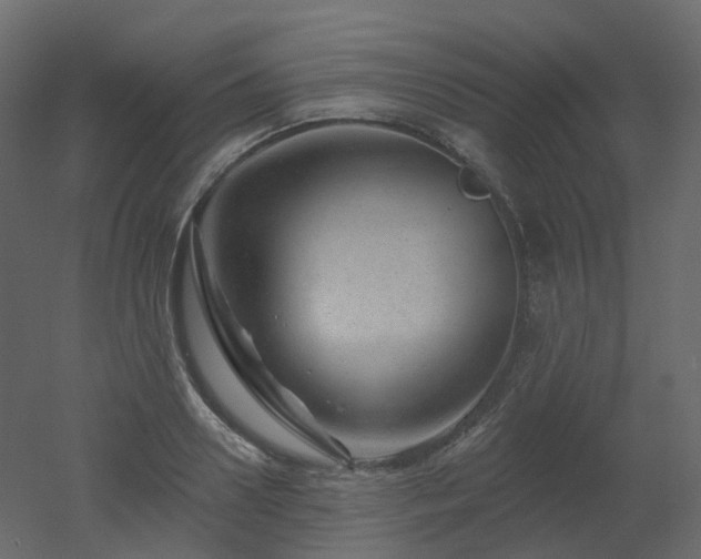 X0000051860938200506241317