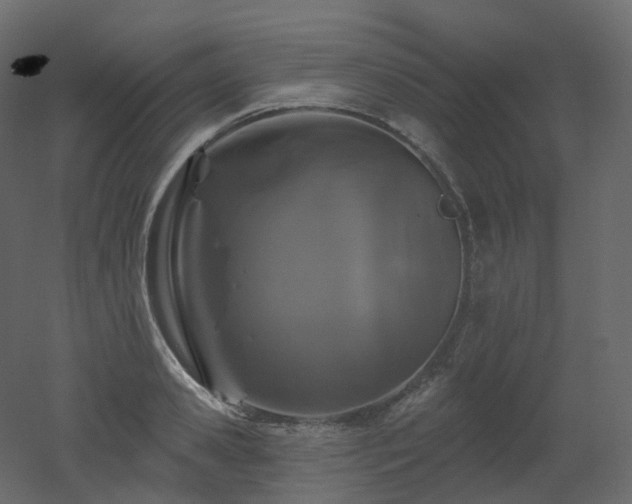 X0000051860941200506241317