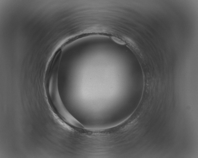 X0000051860942200506241317