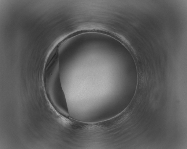 X0000051860943200506241317