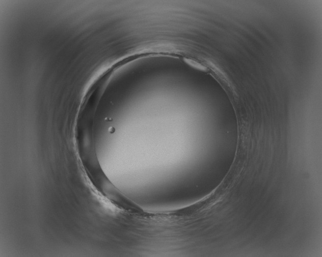 X0000051860944200506241317