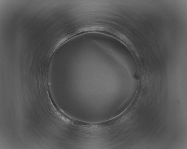 X0000051860945200506241317