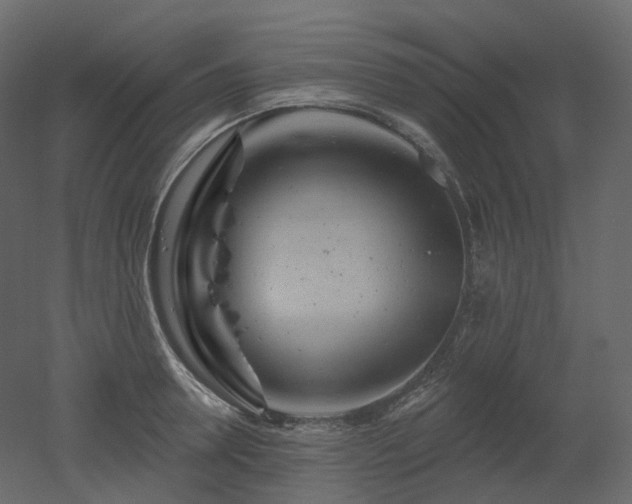 X0000051860946200506241317