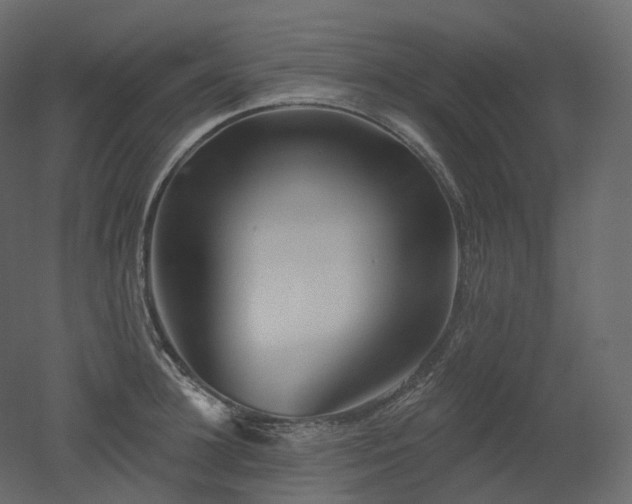 X0000051860948200506241317