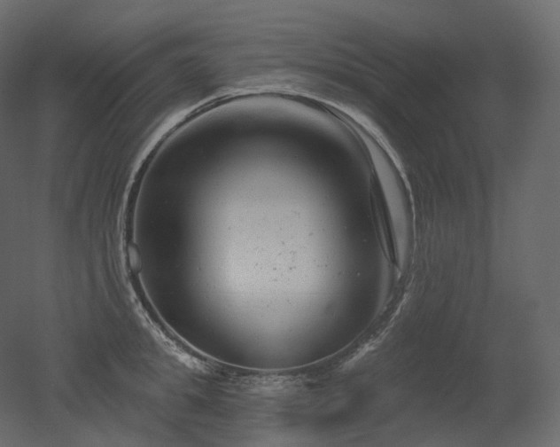 X0000051860949200506241317