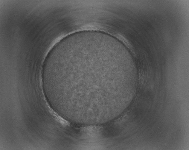 X0000051860950200506241317