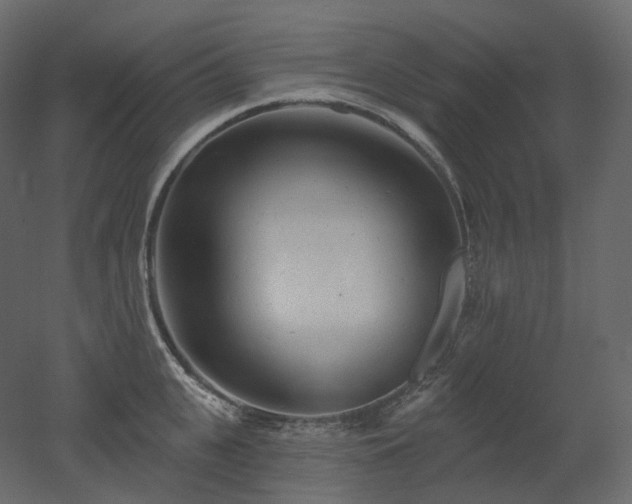 X0000051860951200506241317