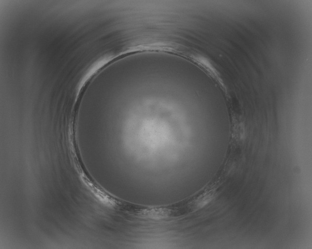 X0000051860952200506241317