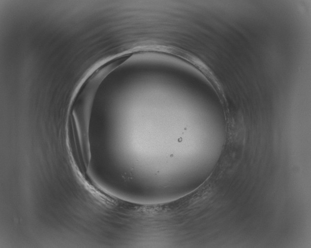 X0000051860955200506241317