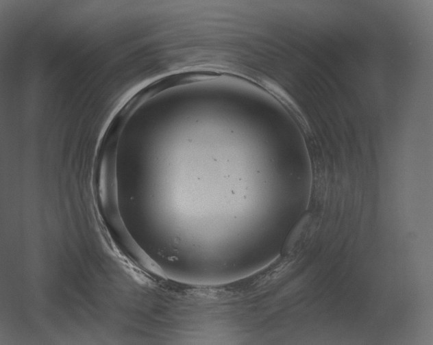 X0000051860956200506241317