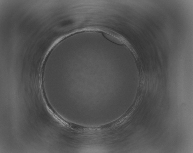 X0000051860958200506241317