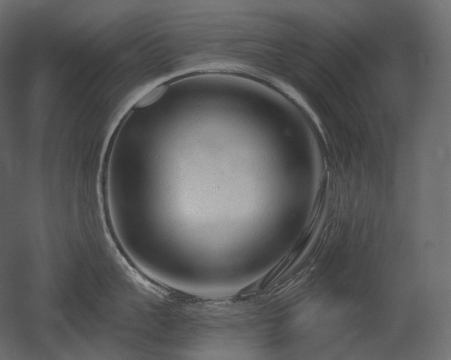 X0000051860959200506241317