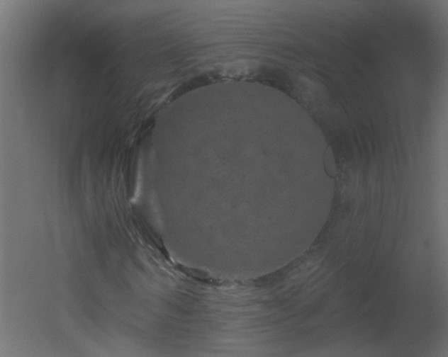 X0000051860962200506241317