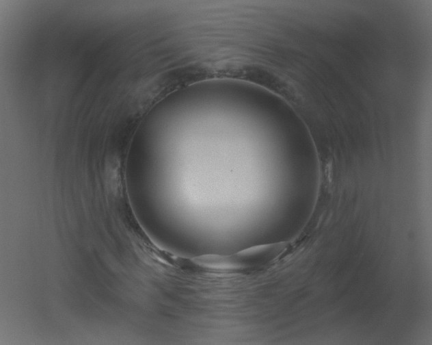 X0000051860963200506241317