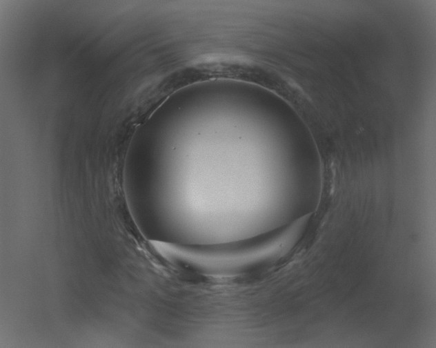 X0000051860965200506241317