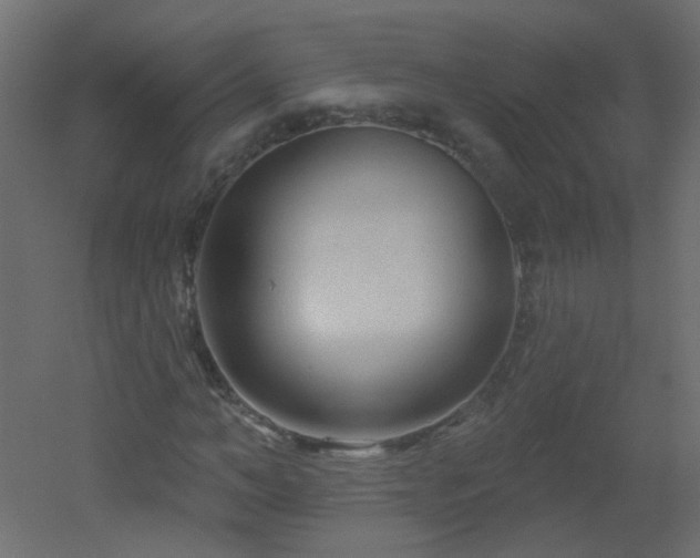 X0000051860966200506241317