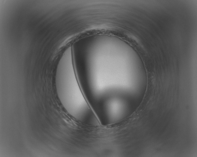 X0000051860968200506241317