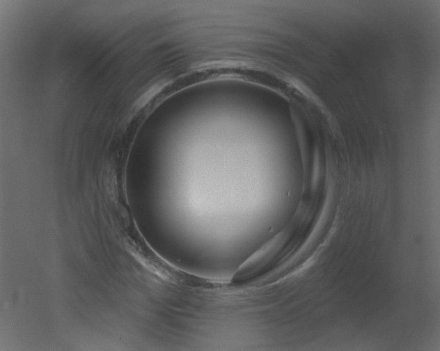 X0000051860969200506241317