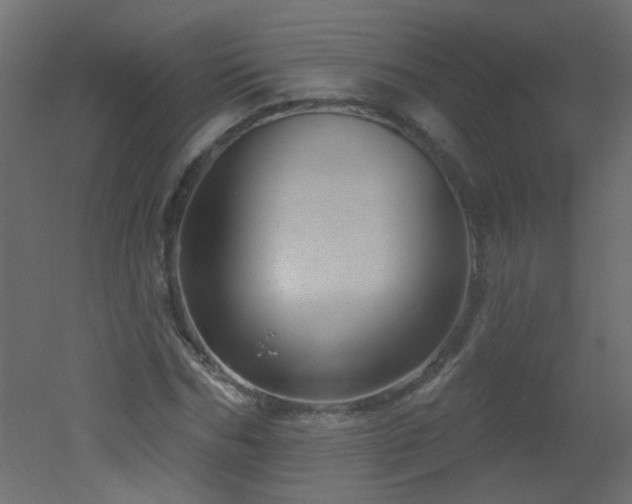 X0000051860970200506241317