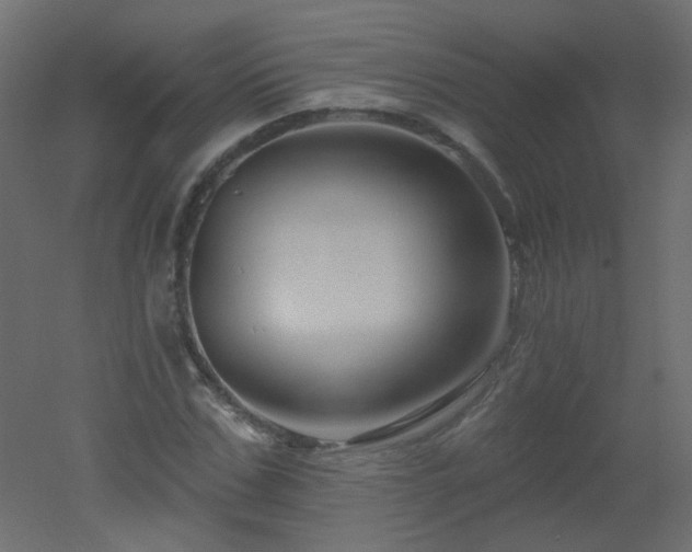 X0000051860971200506241317