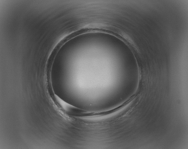 X0000051860976200506241316