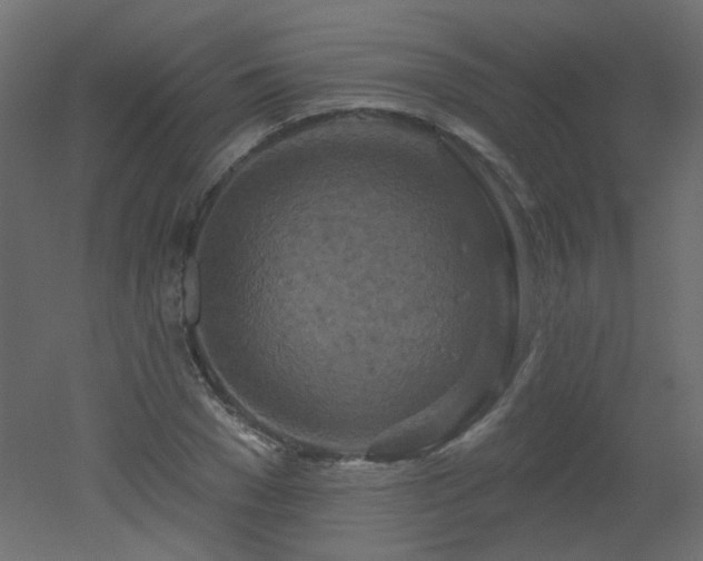 X0000051860977200506241316