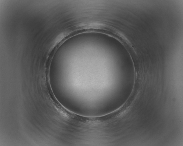 X0000051860978200506241316