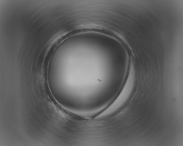 X0000051860979200506241316