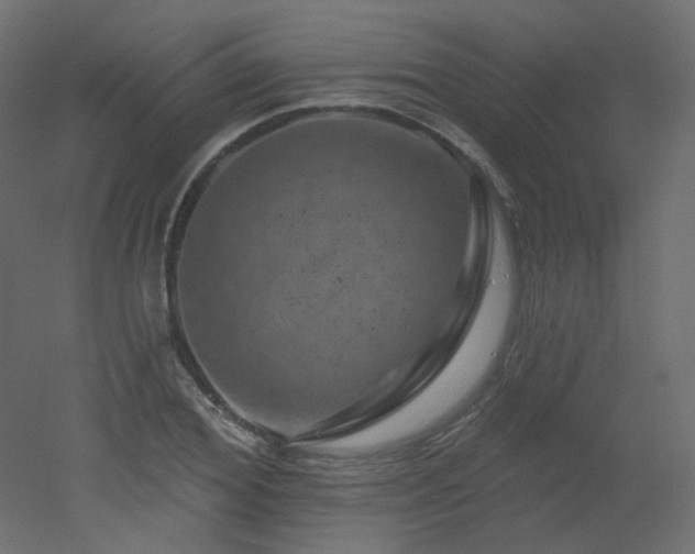 X0000051860980200506241316