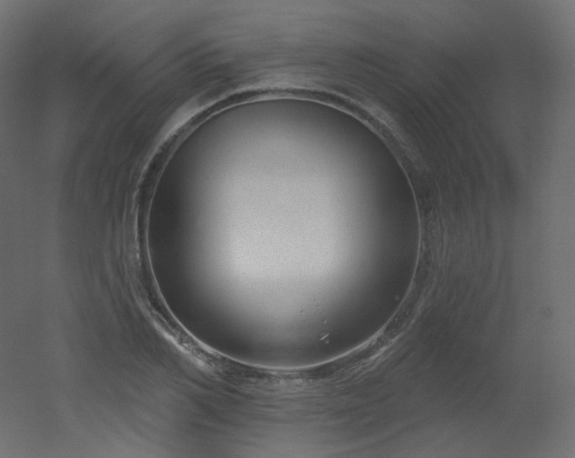 X0000051860982200506241316