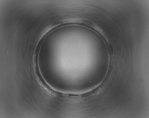 X0000051860983200506241316