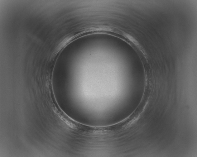 X0000051860985200506241316