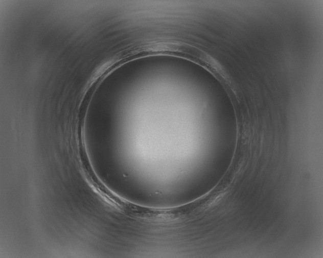 X0000051860986200506241316