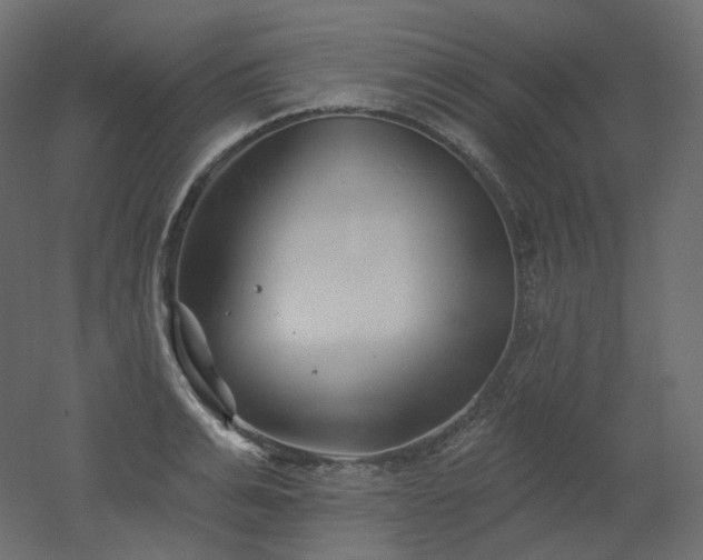 X0000051860991200506241316