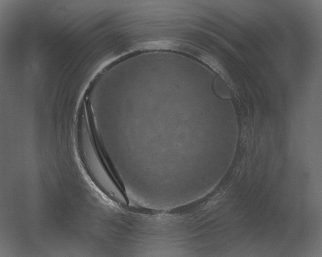 X0000051860992200506241316