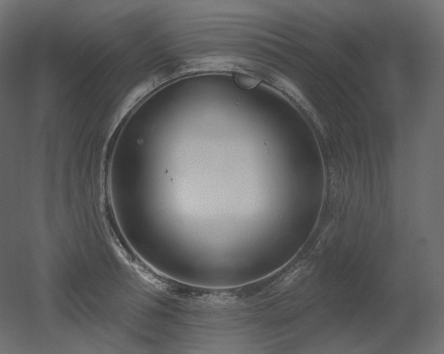 X0000051860994200506241316