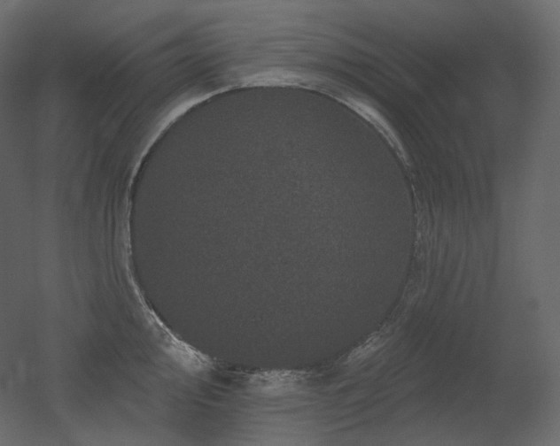 X0000051861000200506241316