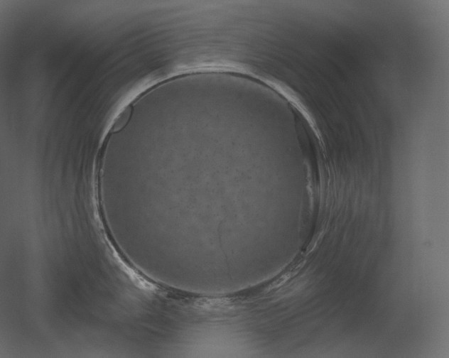 X0000051861006200506241316