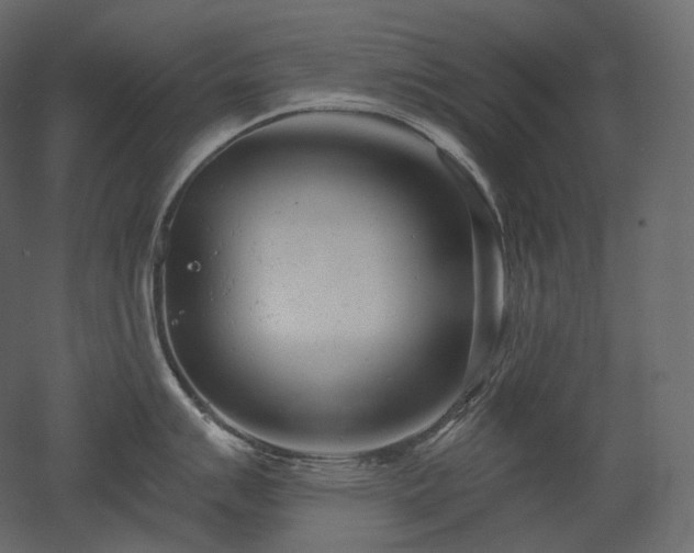 X0000051861007200506241316