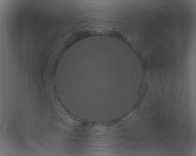 X0000051861009200506241315