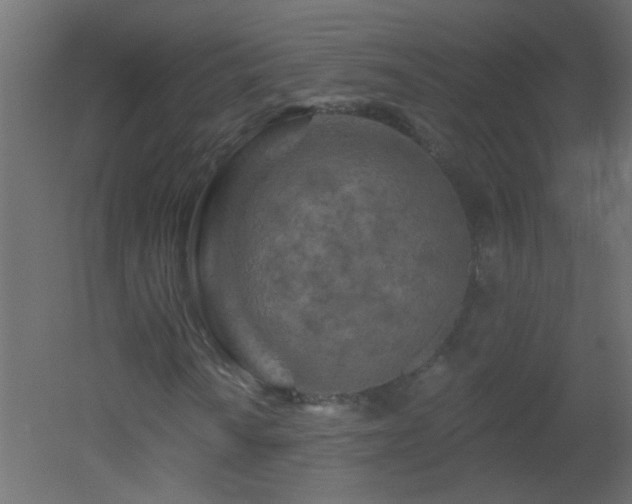 X0000051861010200506241315